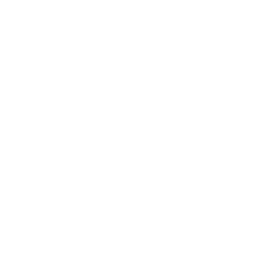 SITO WEB & SOCIAL MEDIA