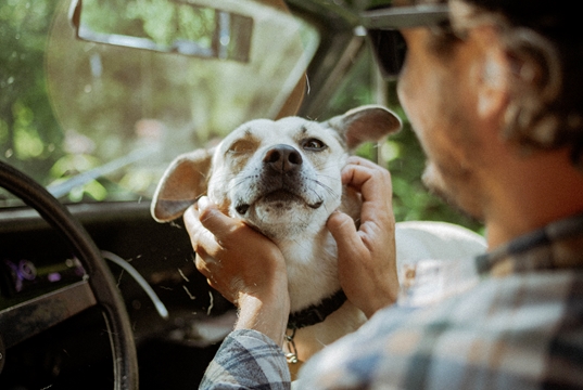 Vacanze sempre più pet-friendly Vacanze sempre più pet-friendly
