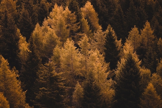 "Adapting", un nuovo episodio social di 100% Natura "Adapting", un nuovo episodio social di 100% Natura