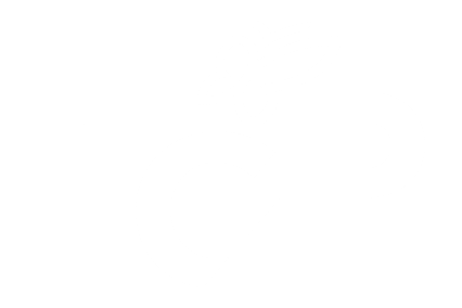 IL PROGETTO IL PROGETTO