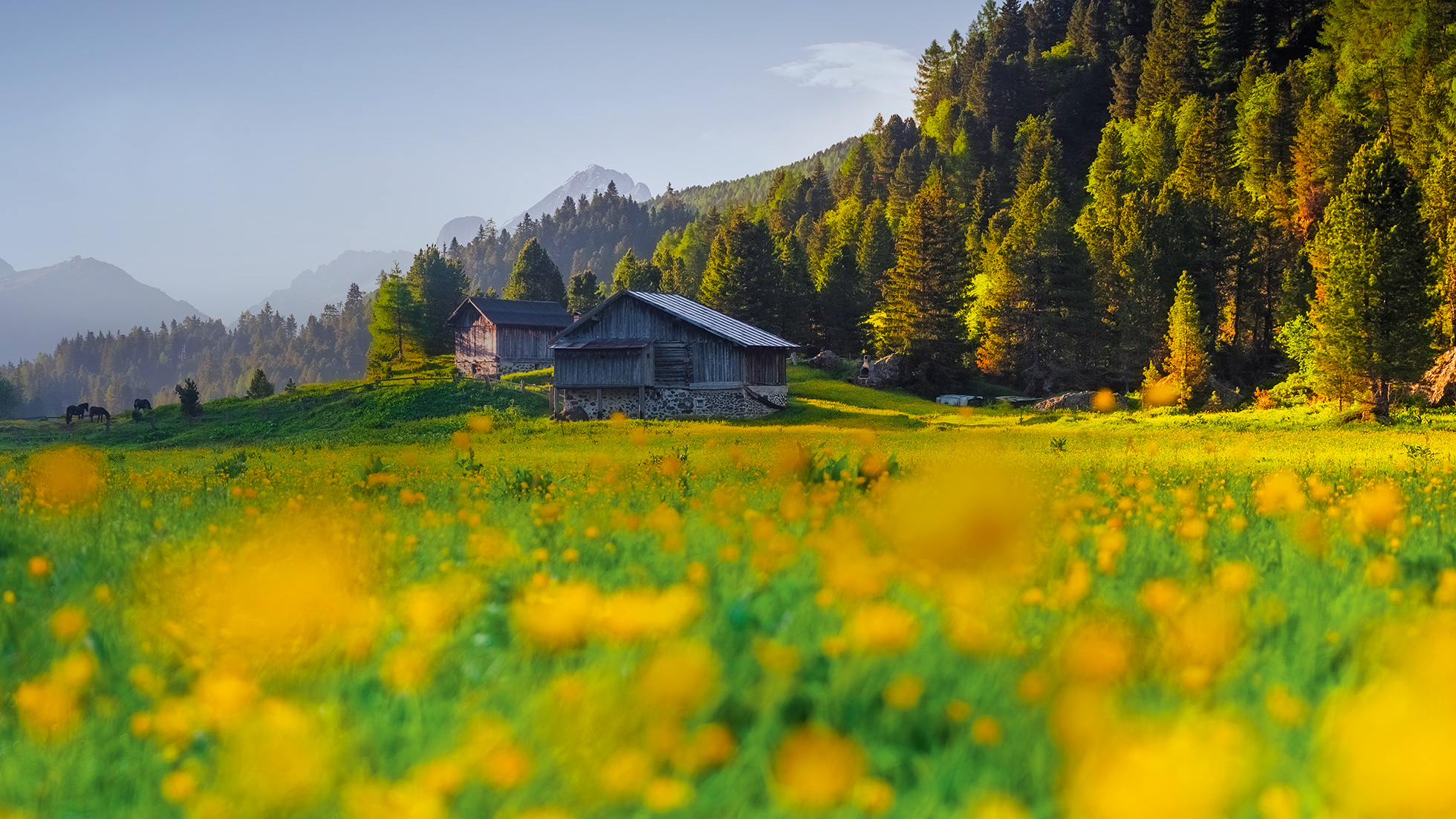 Due speciali sui mercati internazionali che rafforzano il racconto del Trentino