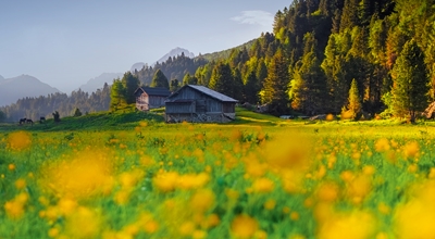 L'energia della Primavera, la bella stagione del Trentino