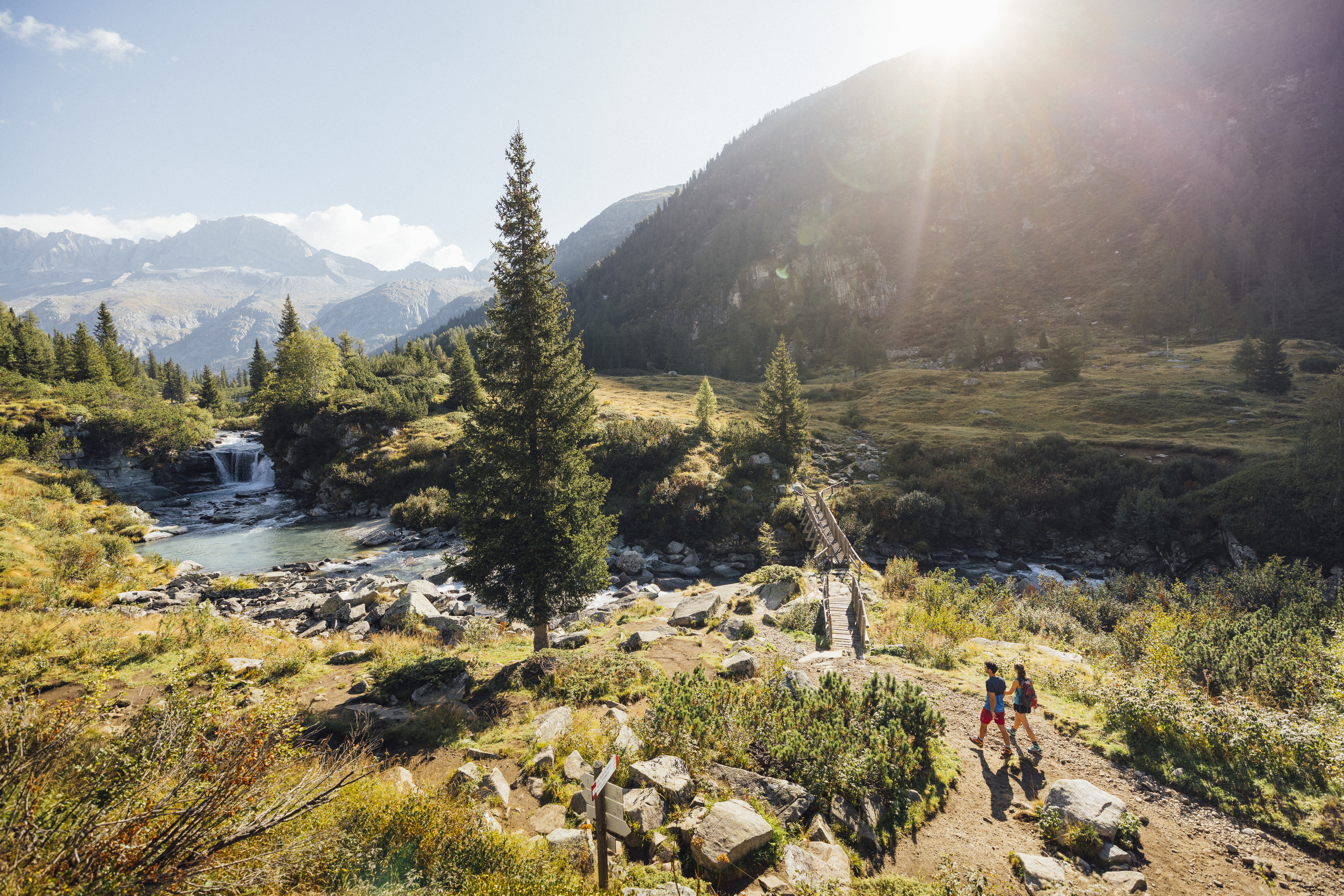 Al via la campagna autunno 2026 del Trentino
