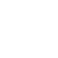 WEB WIDGET DEL SISTEMA TRENTINO