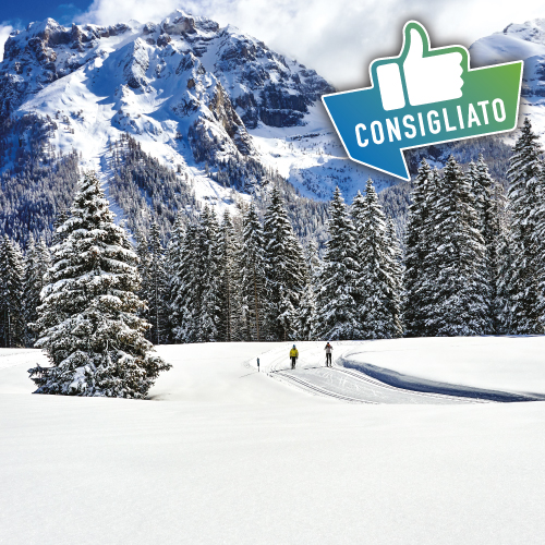 Forte aumento sul noleggio dei camper