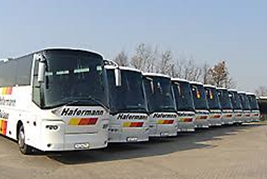 Viaggi in sicurezza sui pullman turistici grazie al virus killer americano Viaggi in sicurezza sui pullman turistici grazie al virus killer americano